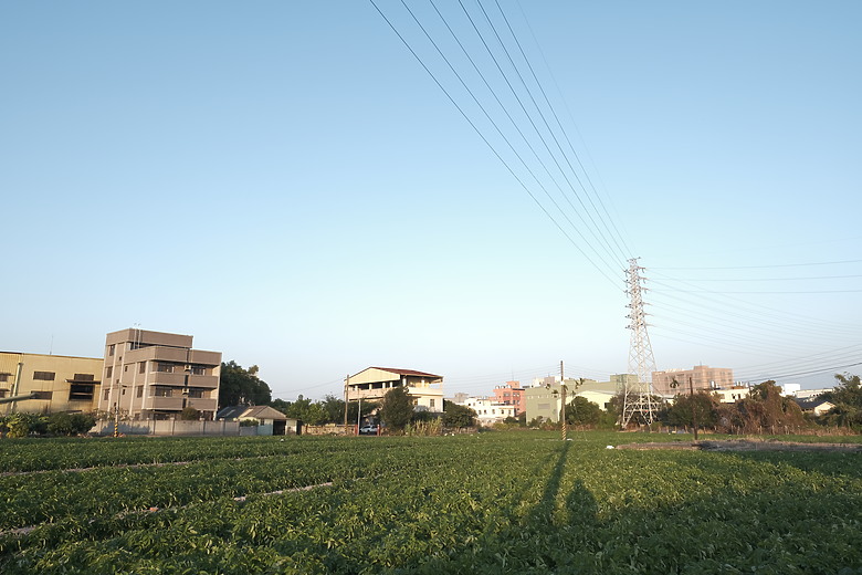 Fuji XF16mmF1.4 遠拍近看迎新春