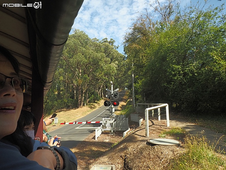 墨爾本近郊之菲利普島(Phillip Island)企鵝歸巢(Penguin Parade)、普芬比利鐵路(Puffing Billy)古董蒸汽火車，附掛旅途中的用餐與沿路風景 — 2026東澳洲四大城巡遊之墨爾本段 第1部