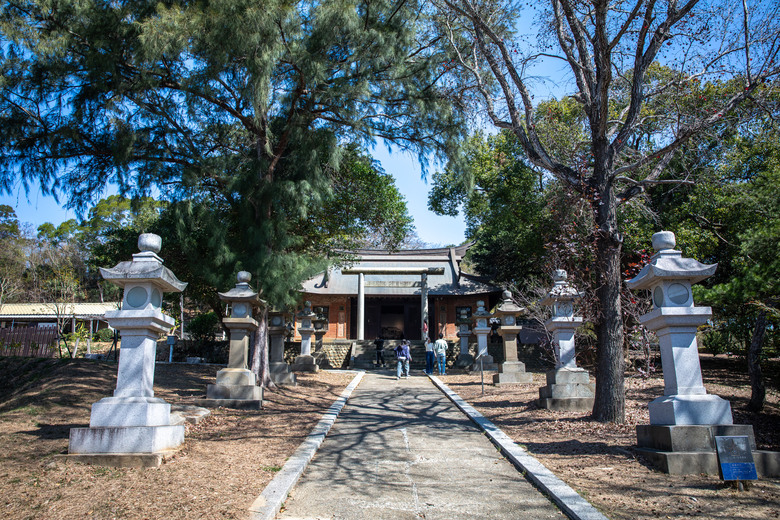 【小惡魔驫到成功】苗栗櫻花序曲：住進貓頭鷹哈比屋，遇見山巔的粉色浪漫