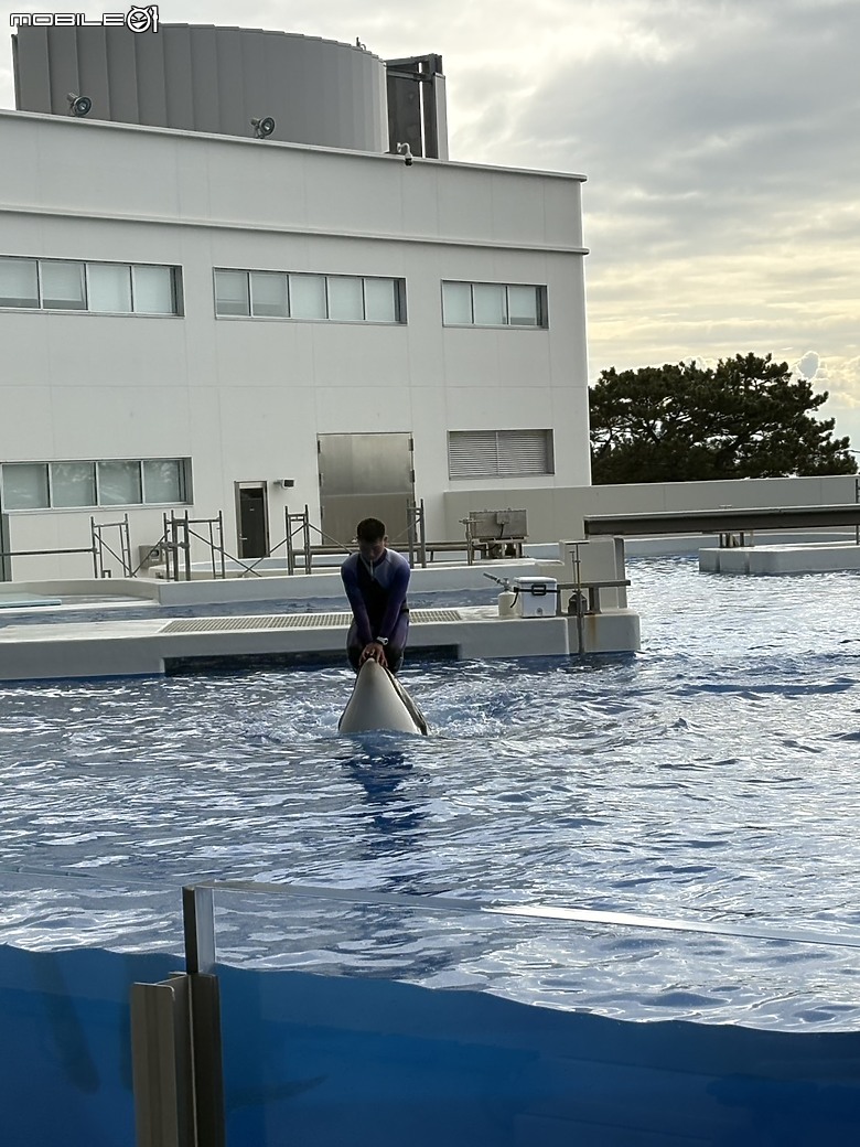 點我看大圖 【小惡魔驫到成功】2026 關西親子旅行 Day8|須磨海洋世界,水花與約會的一天