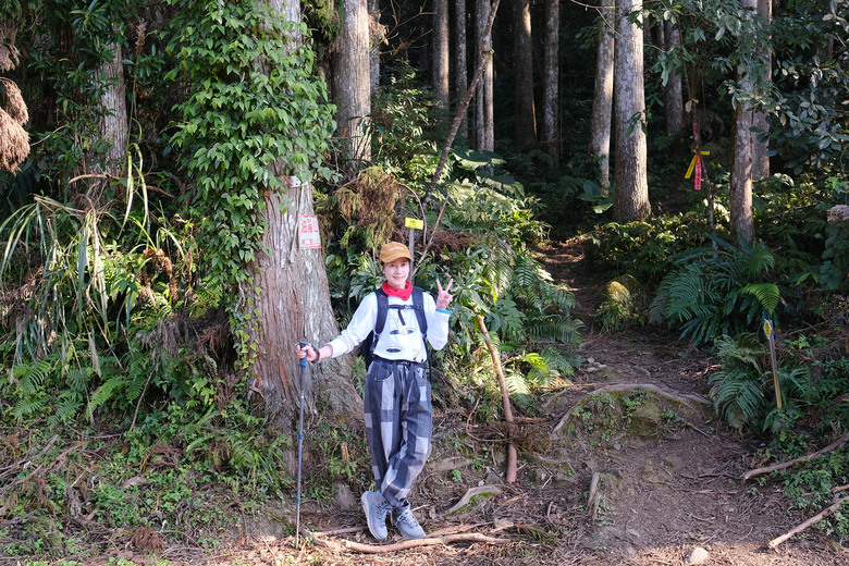 【油羅山】一座可以治癒人心靈的山 | 新竹羅山林道