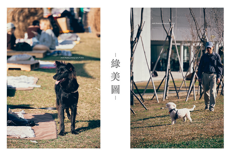 公園中的圖書館 • 森林中的美術館 綠美圖