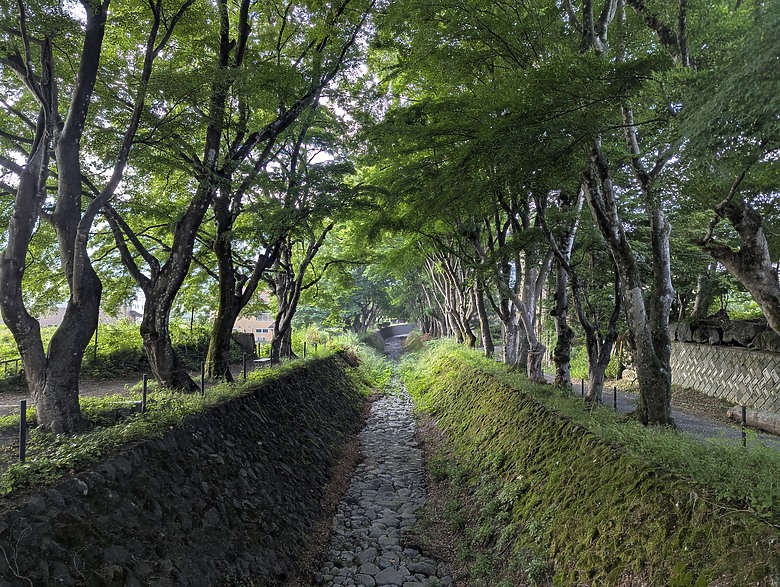 【富士鐵人小隊】- 自助旅行(7天6夜) - 河口湖篇