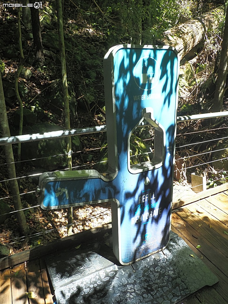 雪梨近郊之藍山國家公園(Blue Mountains National Park)，世界自然遺產之大藍山地區之一部，附掛團員一致說讚的中式合菜 Katoomba Canton Palace — 2026東澳洲四大城巡遊之雪梨段 第1部