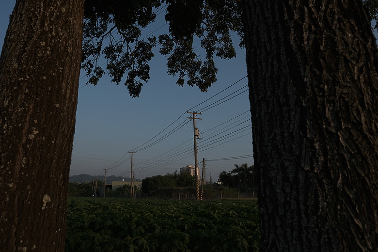 Fuji XF16mmF1.4 遠拍近看迎新春