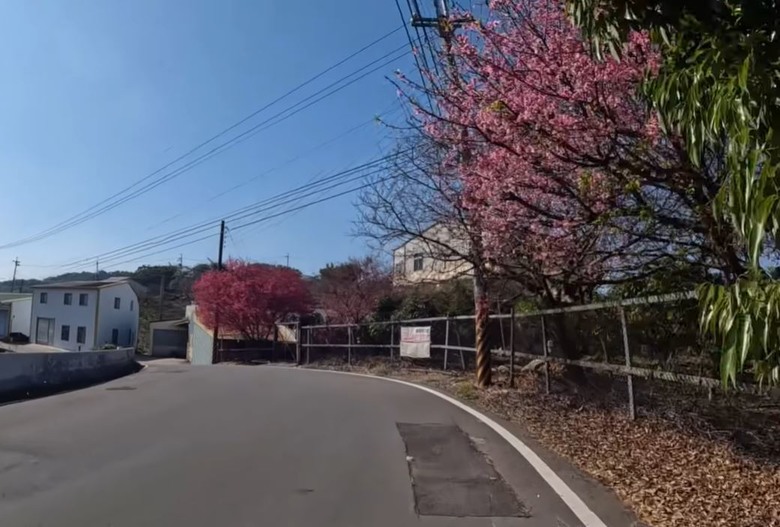 【小惡魔驫到成功】公老坪 8P 終極試煉！首征南坑巷、處女坡，這坡度真的會牽車！？