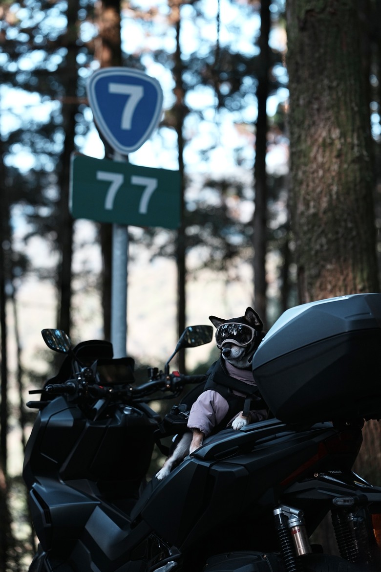 Honda・ADV350|過年開工前騎上台灣最高點:一日武嶺達成