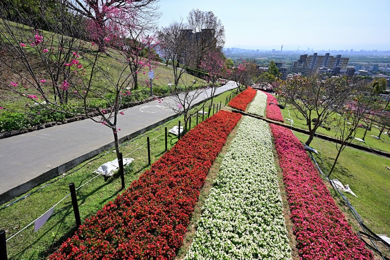 北投隱藏版走法 🌸 不止三層崎花海！走進忠義山林，找回城市的靜謐呼吸