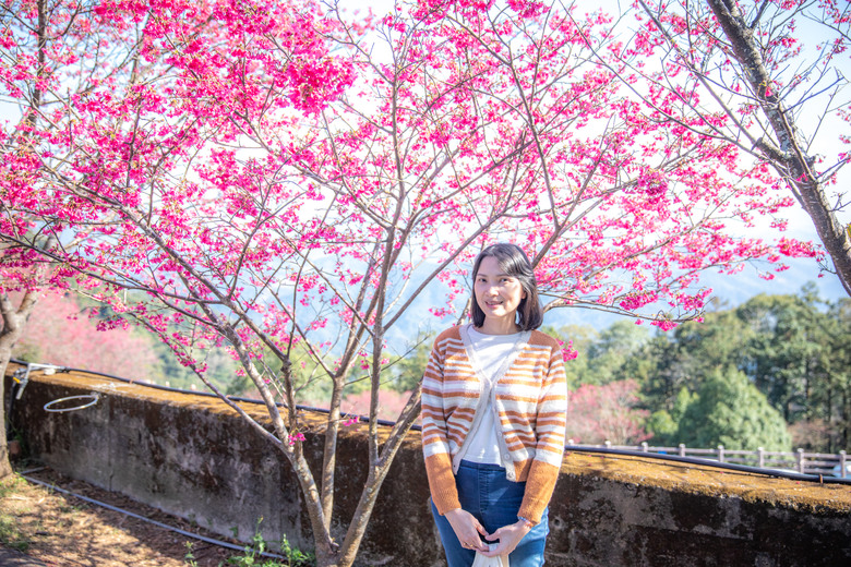 【小惡魔驫到成功】苗栗櫻花序曲：住進貓頭鷹哈比屋，遇見山巔的粉色浪漫