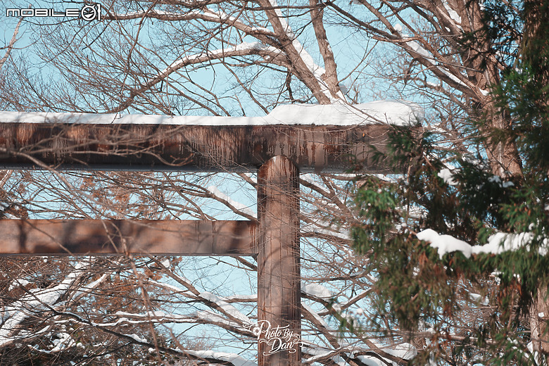 點我看大圖 A7V 北海道旅遊 札幌雪祭 小樽雪燈之路【多圖】