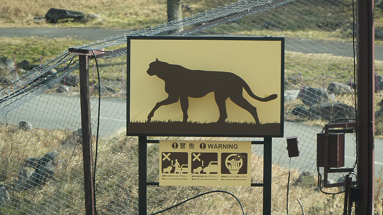 點我看大圖 【小惡魔驫到成功】九州自然動物園的小小心得分享