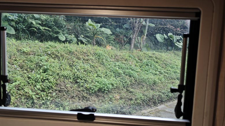 【小惡魔驫到成功】我們家的兩天一夜露營車老街之旅 - 仙草博物館 / 關西鎮農會 / 內灣老街 / 威尼斯露營車 / 溫家果園採橘子 / 紅鱻小館