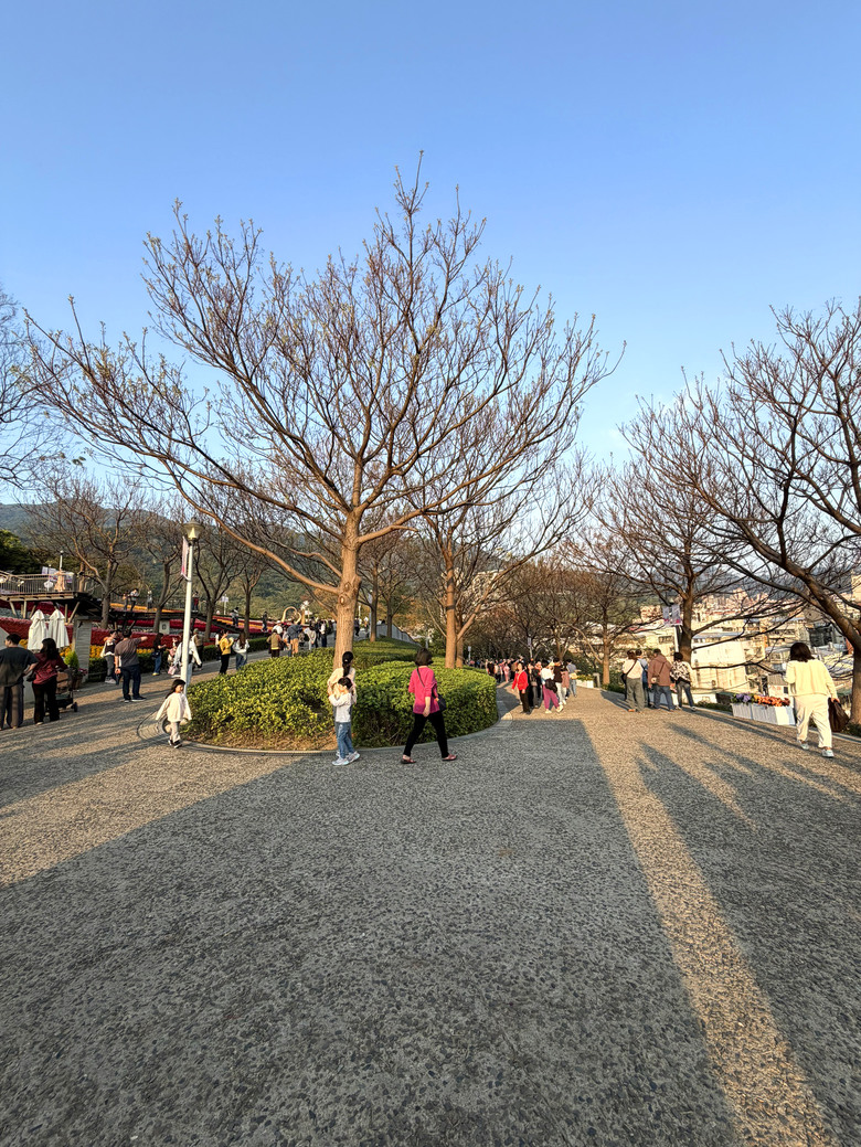 北投三層崎公園 | 春色繽紛的浪漫花海