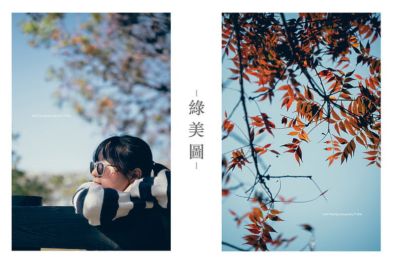 公園中的圖書館 • 森林中的美術館 綠美圖