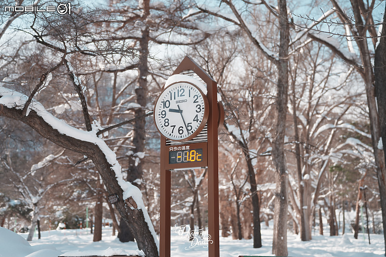 點我看大圖 A7V 北海道旅遊 札幌雪祭 小樽雪燈之路【多圖】