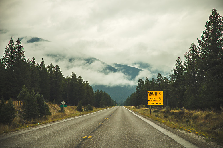 一個人一台車一路向北直到世界的盡頭 – 兩個月的公路露營旅行 – EP 9 – 最後贏的，永遠是土地 | 冰刻其形，火仍在燃，山靜靜站著