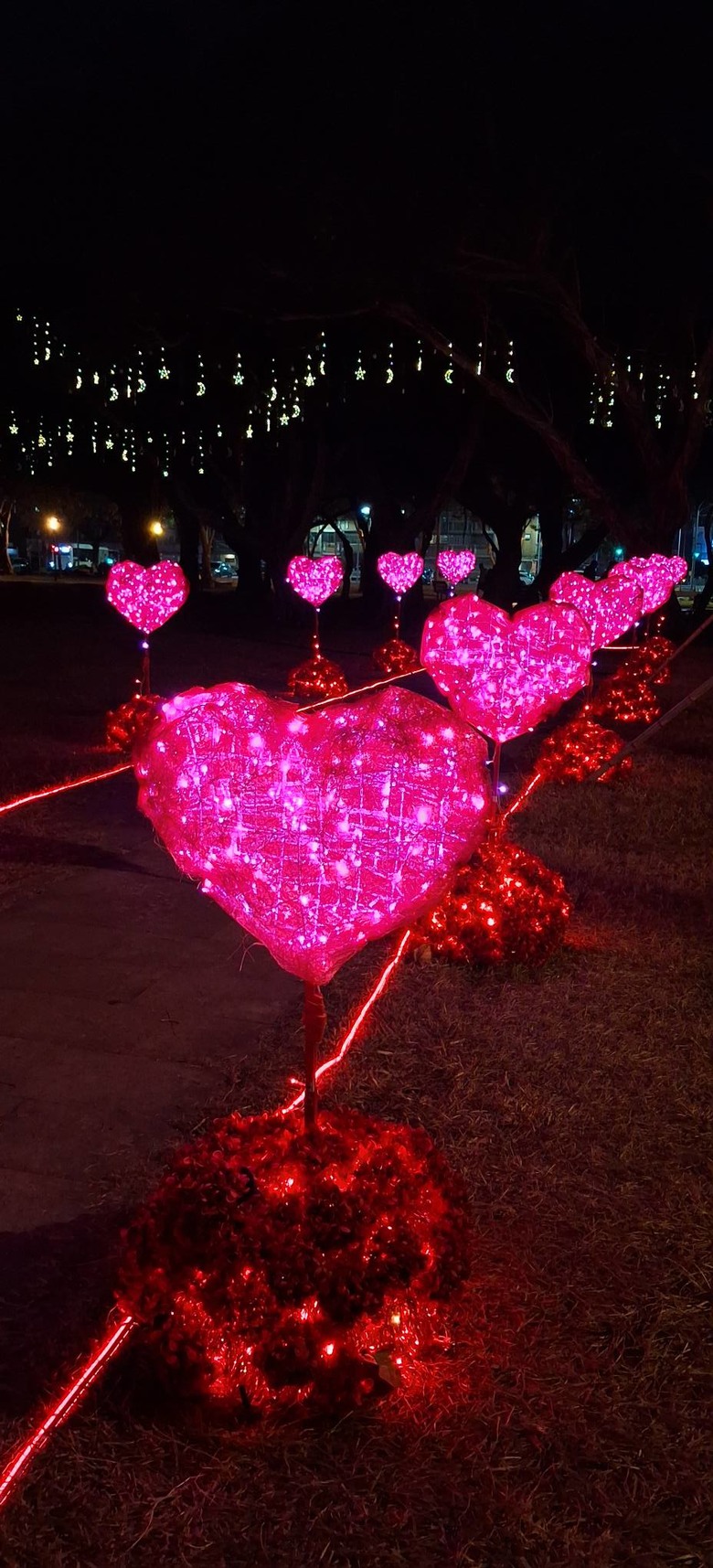 【小惡魔驫到成功】高雄鳳山大東公園花燈賞