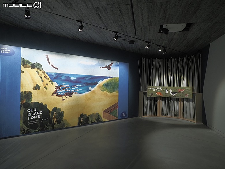 墨爾本近郊之菲利普島(Phillip Island)企鵝歸巢(Penguin Parade)、普芬比利鐵路(Puffing Billy)古董蒸汽火車，附掛旅途中的用餐與沿路風景 — 2026東澳洲四大城巡遊之墨爾本段 第1部