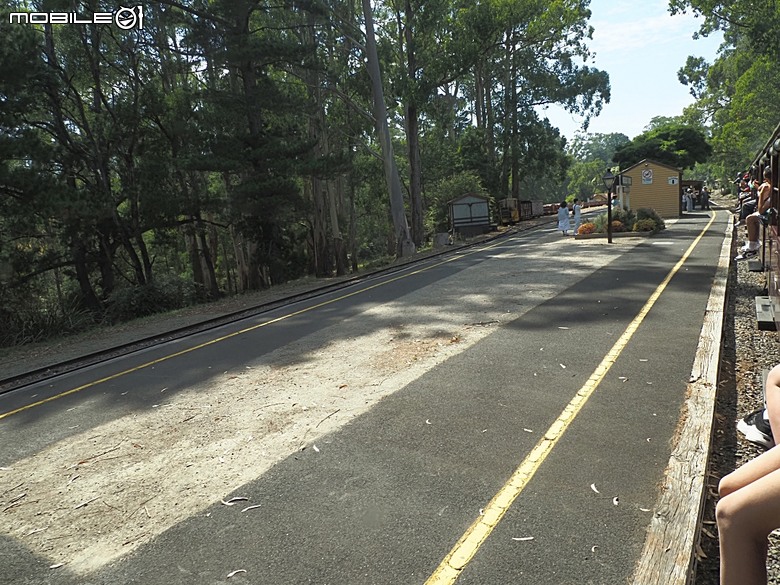 墨爾本近郊之菲利普島(Phillip Island)企鵝歸巢(Penguin Parade)、普芬比利鐵路(Puffing Billy)古董蒸汽火車，附掛旅途中的用餐與沿路風景 — 2026東澳洲四大城巡遊之墨爾本段 第1部