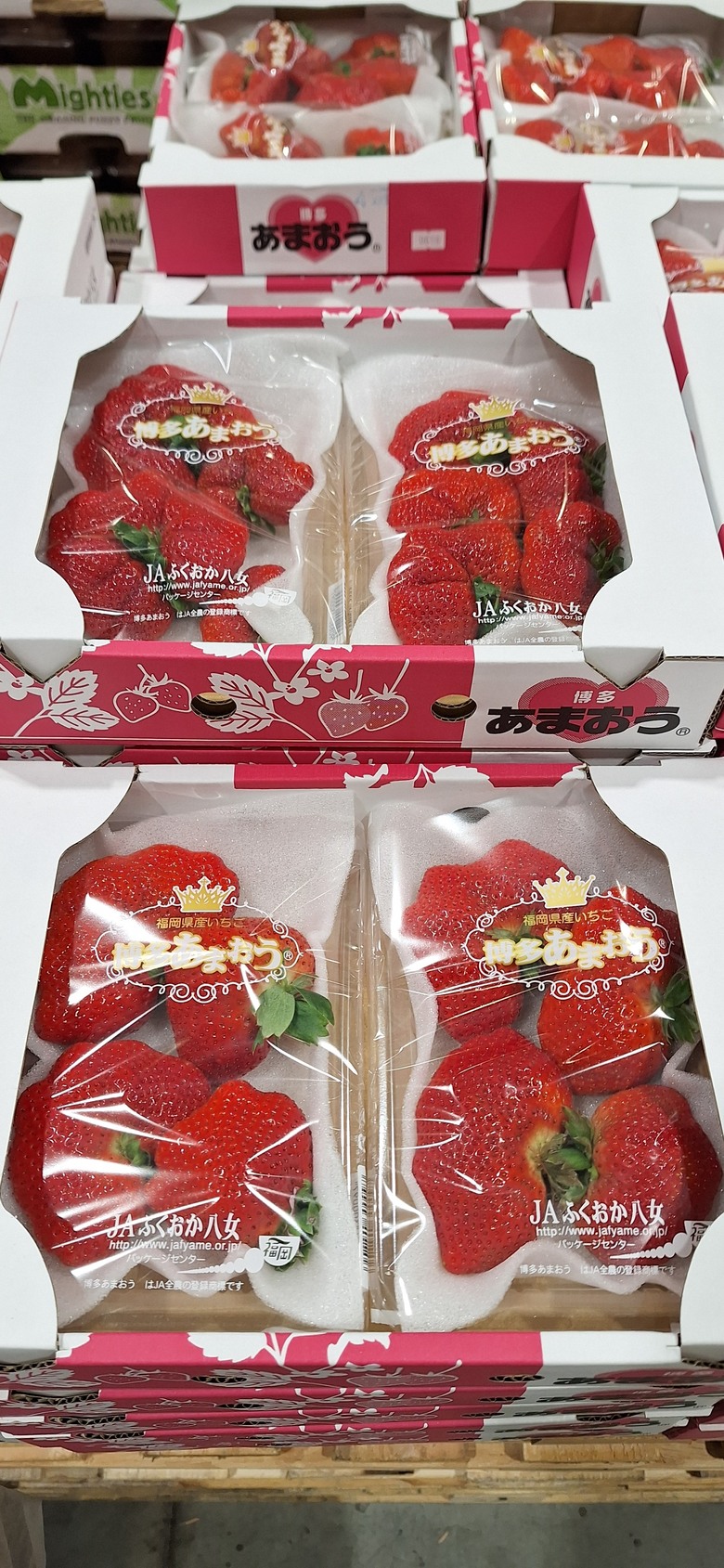 日本好市多直擊｜高級水果＋和牛天堂，一秒逛到失心瘋