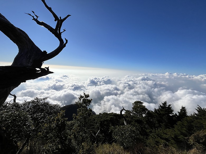 【小惡魔驫到成功】五刷雲海的故鄉｜除夕熱血完登北大武