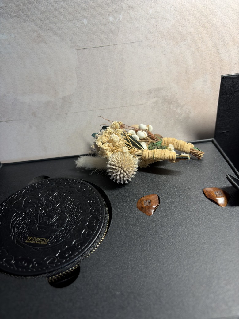 【心得】唐族TangZu杜甫2 DuFu2下闕 入耳式有線耳機 評測