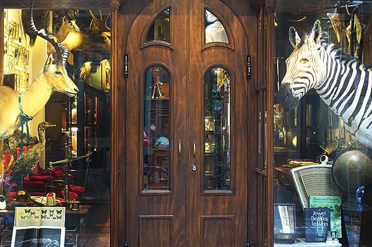 【小惡魔驫到成功】台南中西區丨仰角舶物：栩栩如生的標本博物館