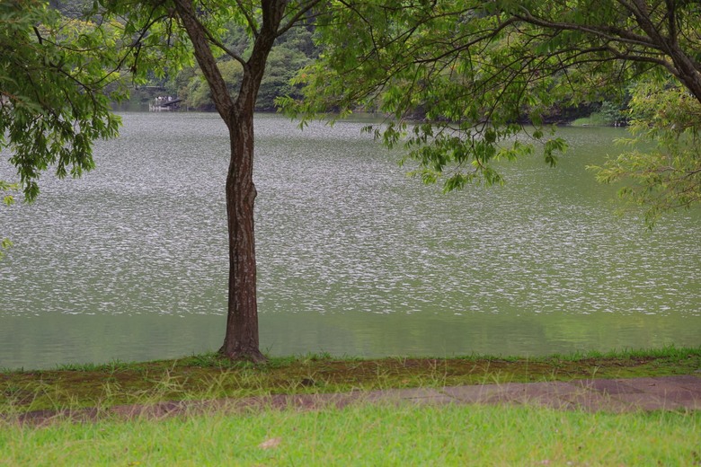 【遊記】一座以「國花」命名的湖泊，先人真的很有想像力，梅花湖 - 大漠國渡