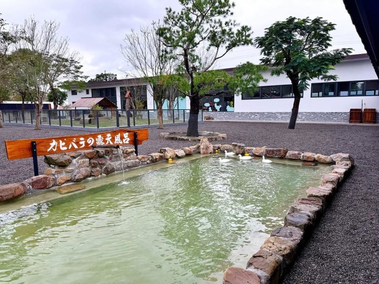 【小惡魔驫到成功】被樹懶融化的一天：我的萌寵農場初體驗