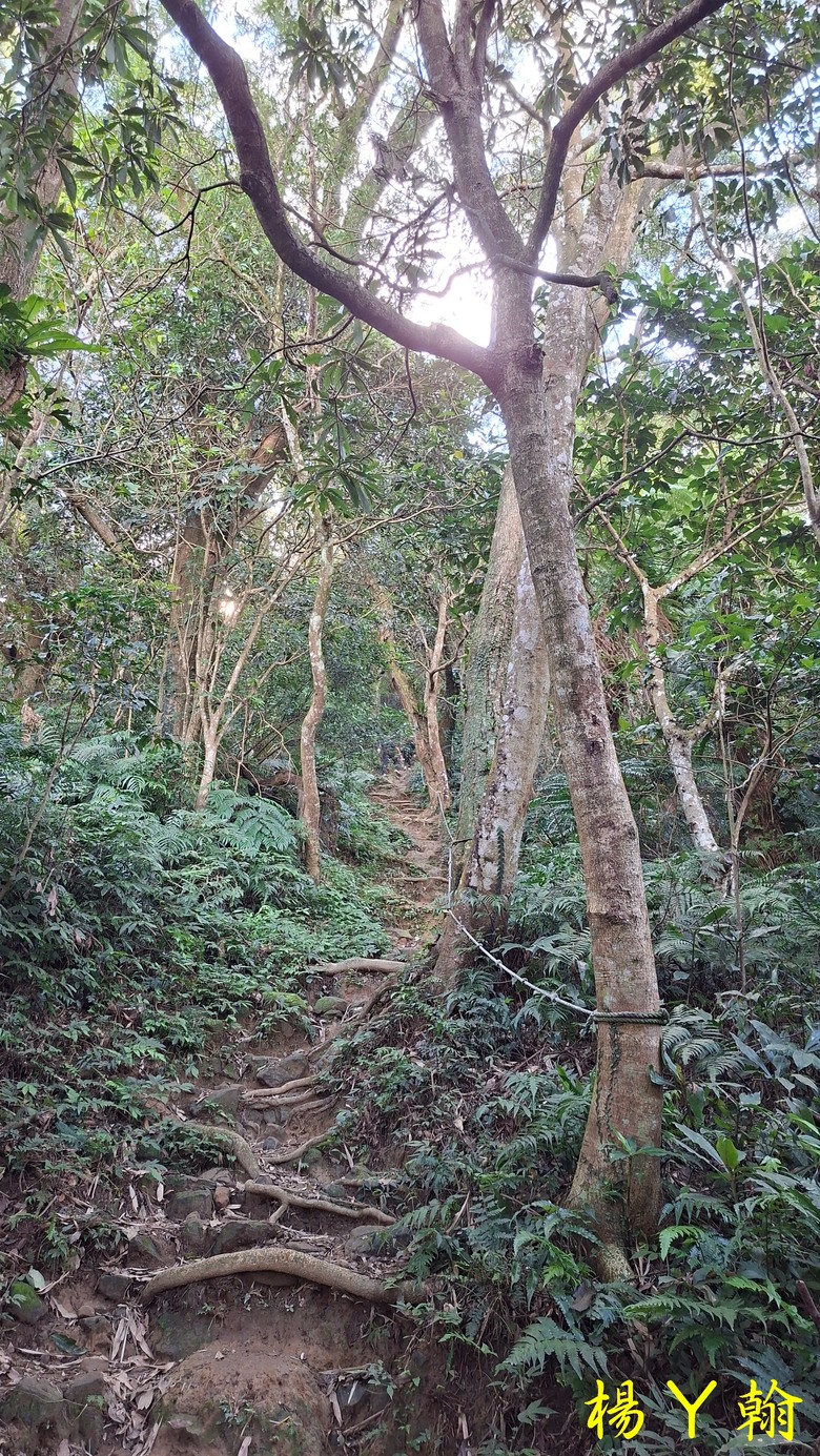 【台灣小百岳】好漢坡上太平山、石門山視野好展望佳