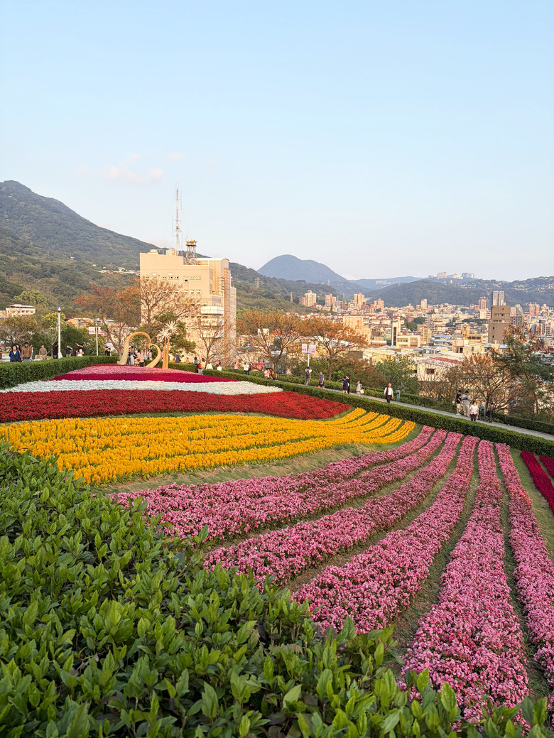 北投三層崎公園 | 春色繽紛的浪漫花海
