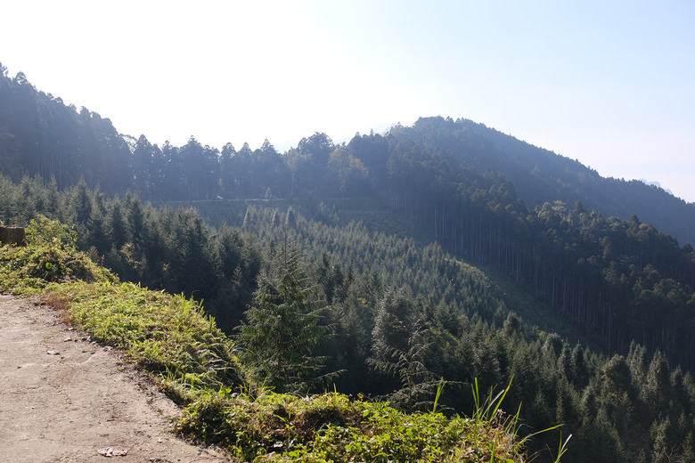 【油羅山】一座可以治癒人心靈的山 | 新竹羅山林道