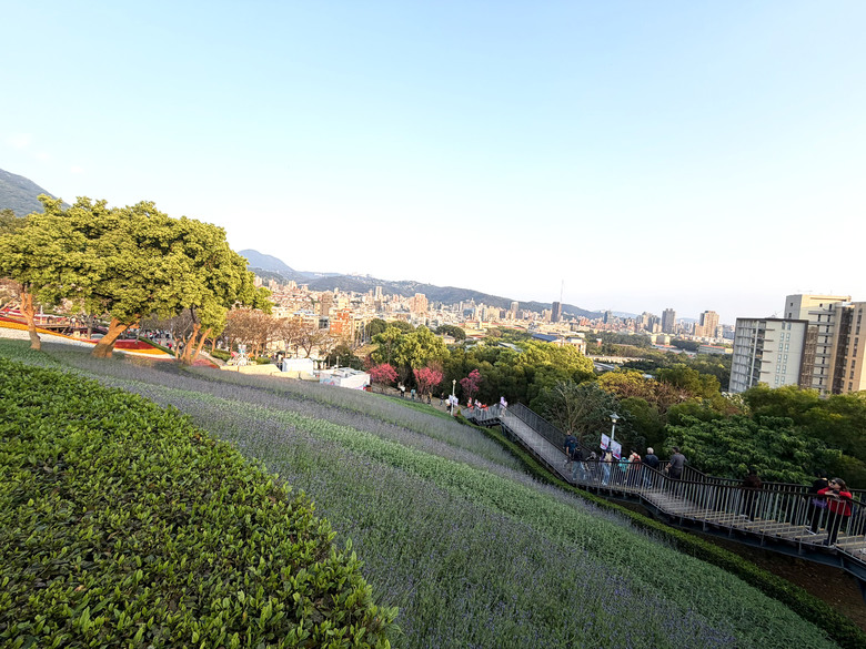 北投三層崎公園 | 春色繽紛的浪漫花海