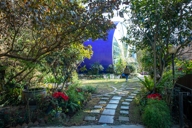 【小惡魔驫到成功】苗栗櫻花序曲：住進貓頭鷹哈比屋，遇見山巔的粉色浪漫