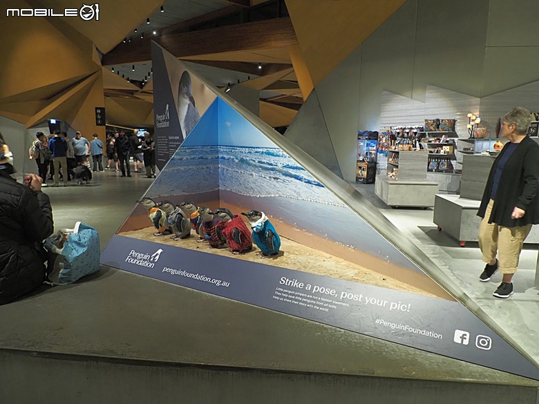 墨爾本近郊之菲利普島(Phillip Island)企鵝歸巢(Penguin Parade)、普芬比利鐵路(Puffing Billy)古董蒸汽火車，附掛旅途中的用餐與沿路風景 — 2026東澳洲四大城巡遊之墨爾本段 第1部