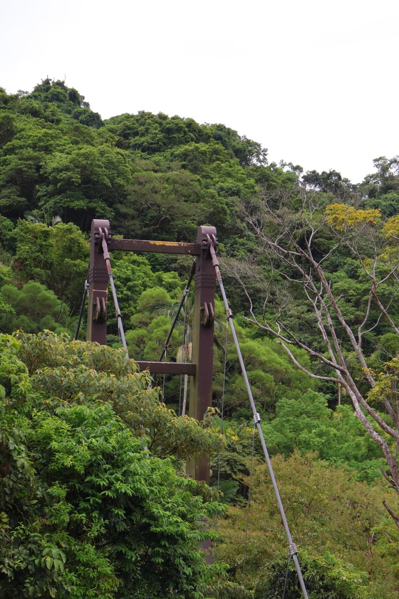 【遊記】一座以「國花」命名的湖泊，先人真的很有想像力，梅花湖 - 大漠國渡