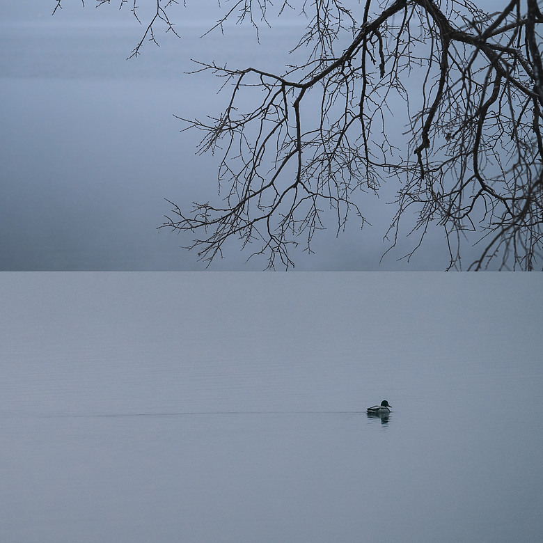 點我看大圖 Z8 |北海道,當公路只剩下我與風景