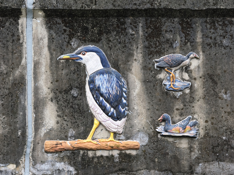 樂活公園-櫻花季-2026 OM 1 ii+OM 40-150mm f2.8