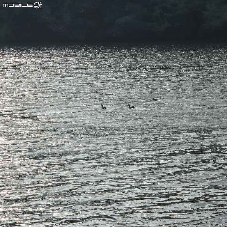 【健行】被譽為「新竹版日月潭」的峨眉湖，走了趟環湖步道，但是...!