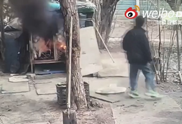 陸屁孩「燒死薩摩耶」事件落幕，飼主突刪光證據…引全網傻眼