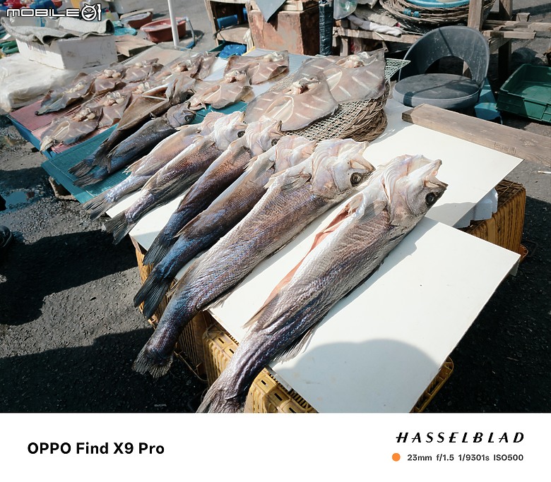 點我看大圖 OPPO Find X9 Pro 大師模式旅拍|與哈蘇同行,捕捉釜山城市光影!