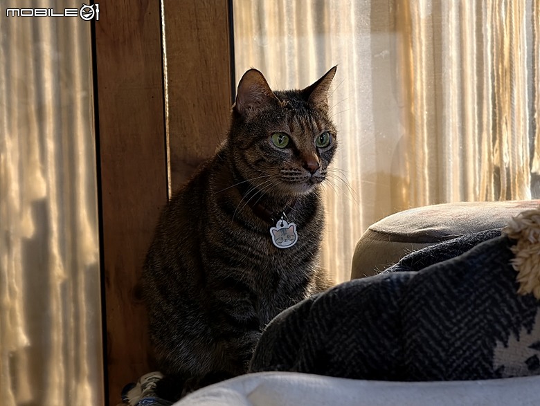 【小惡魔驫到成功】黃金海岸、漁光島、原臺灣總督府專賣局臺南支局鹽埕分室，到漫漫弄吸貓 — 2026年新年走春 第三站