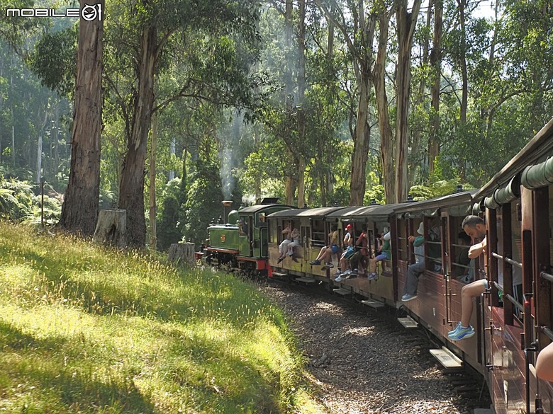 墨爾本近郊之菲利普島(Phillip Island)企鵝歸巢(Penguin Parade)、普芬比利鐵路(Puffing Billy)古董蒸汽火車，附掛旅途中的用餐與沿路風景 — 2026東澳洲四大城巡遊之墨爾本段 第1部