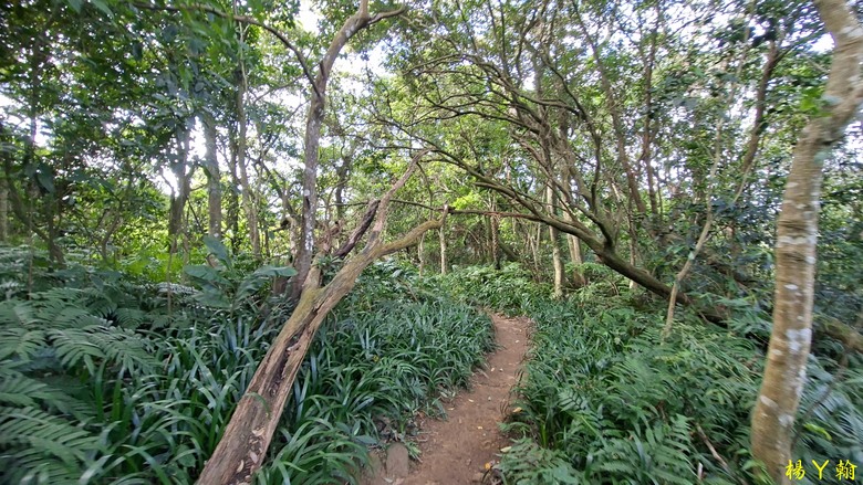 【台灣小百岳】好漢坡上太平山、石門山視野好展望佳