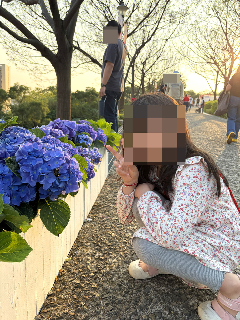 北投三層崎公園 | 春色繽紛的浪漫花海