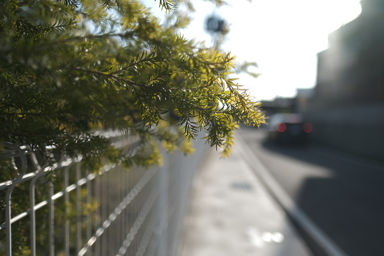 Fuji XF16mmF1.4 遠拍近看迎新春