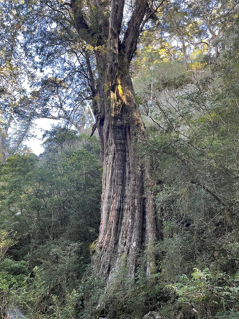 【小惡魔驫到成功】五刷雲海的故鄉｜除夕熱血完登北大武