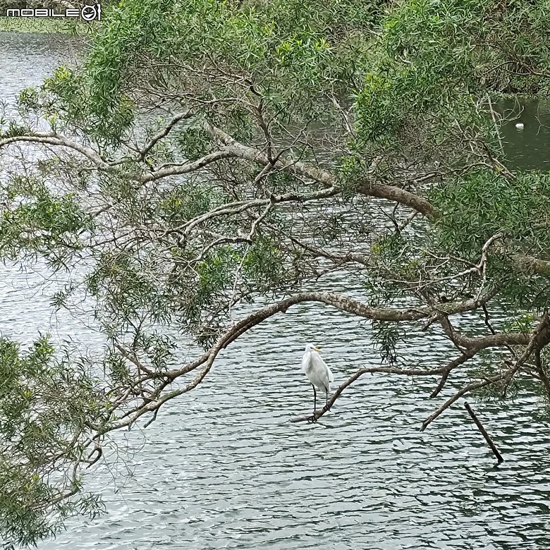 【健行】被譽為「新竹版日月潭」的峨眉湖，走了趟環湖步道，但是...!
