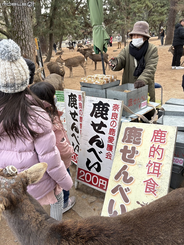 點我看大圖 【小惡魔驫到成功】2026 關西親子旅行 Day4|奈良散策,然後散到整天大延誤