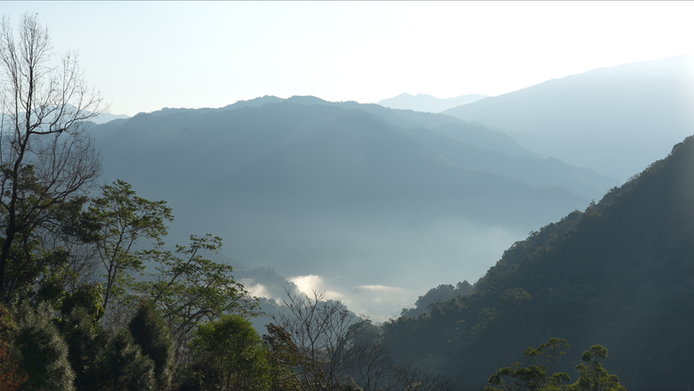 女子單人車露｜露到心都涼了｜過60歲還不服老｜堅持不撤的結果｜ #Hi燥樹排露營區